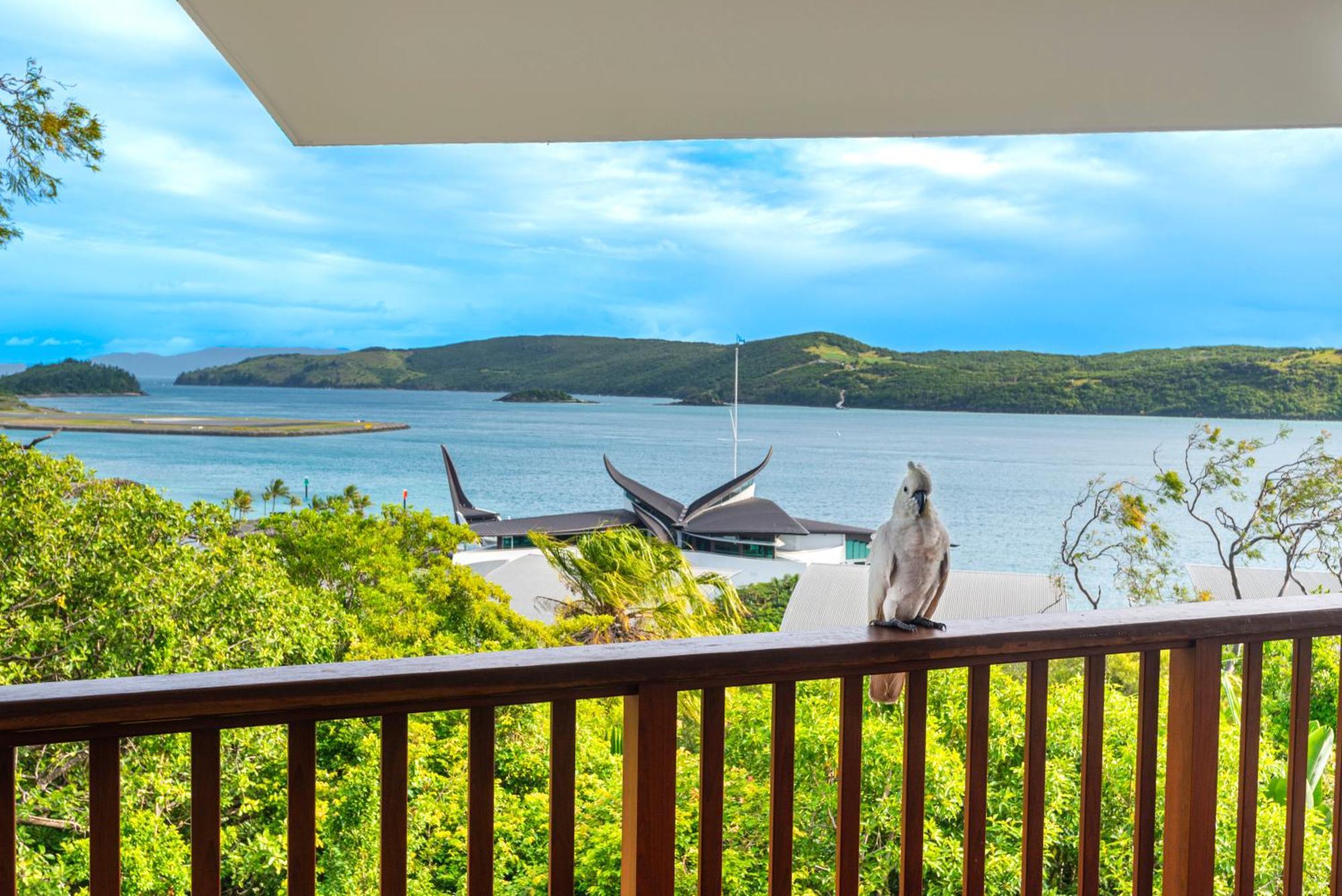 Appartamento Casuarina Cove On Hamilton Island By Hiha Esterno foto